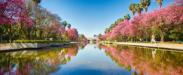 Porto Alegre / RS